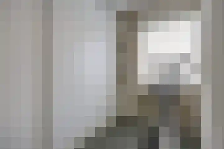 Scheldelaan 12 Hoeven thumbnail 23