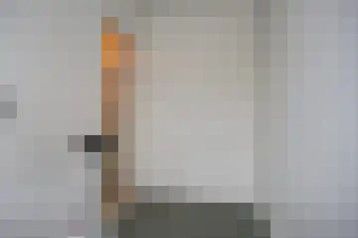 Scheldelaan 12 Hoeven thumbnail 24