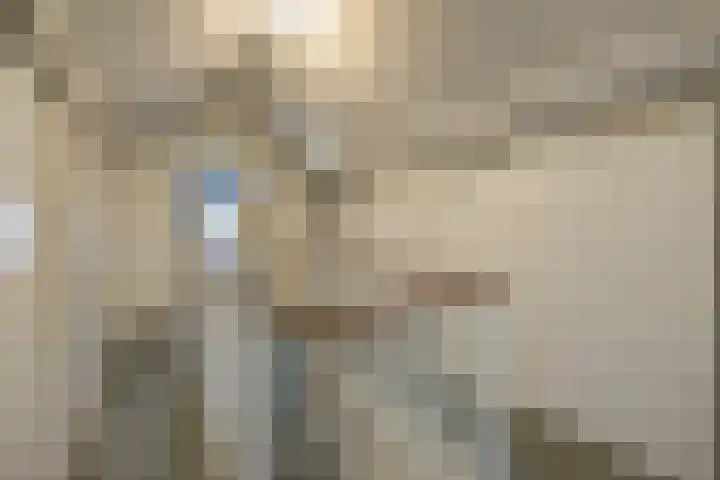 Scheldelaan 12 Hoeven thumbnail 26