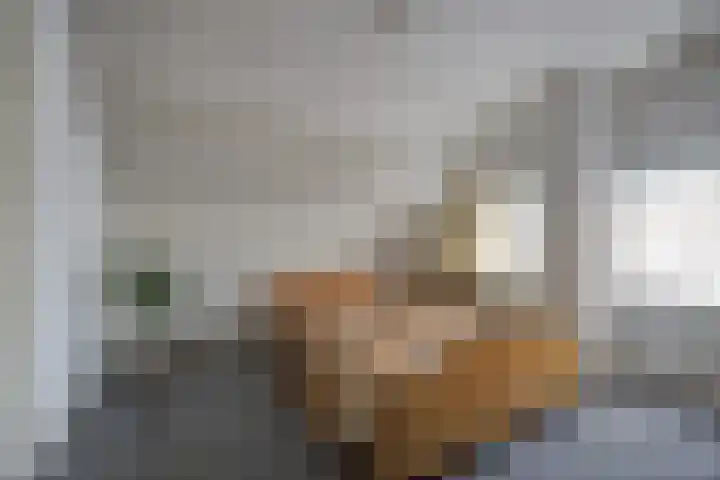 Scheldelaan 12 Hoeven thumbnail 29
