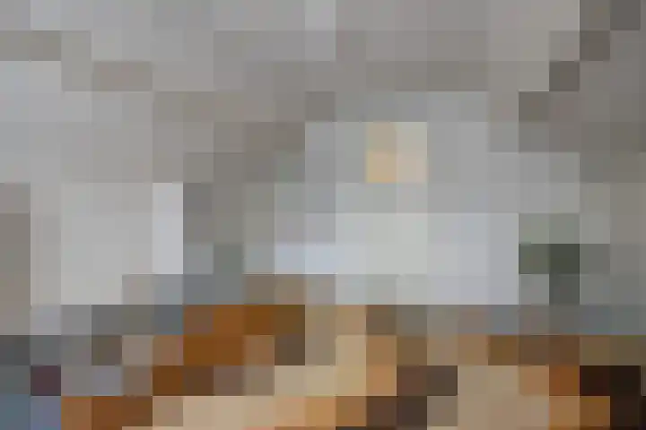 Scheldelaan 12 Hoeven thumbnail 30