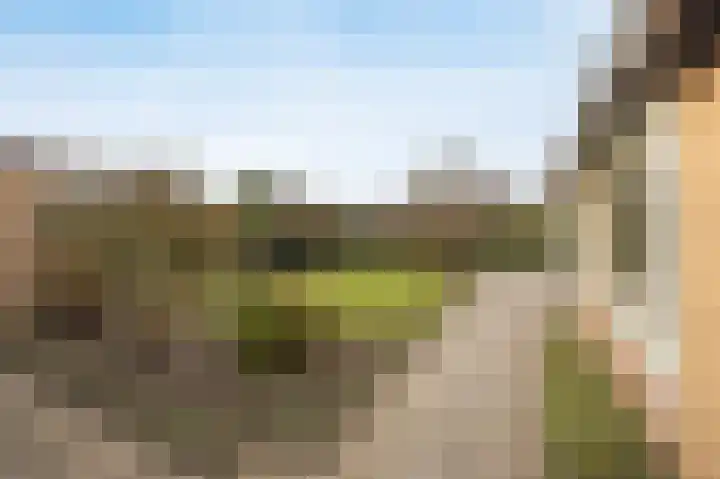 Scheldelaan 12 Hoeven thumbnail 34
