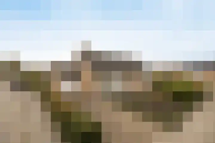 Scheldelaan 12 Hoeven thumbnail 38