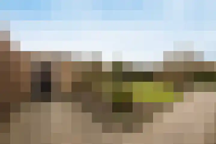 Scheldelaan 12 Hoeven thumbnail 4