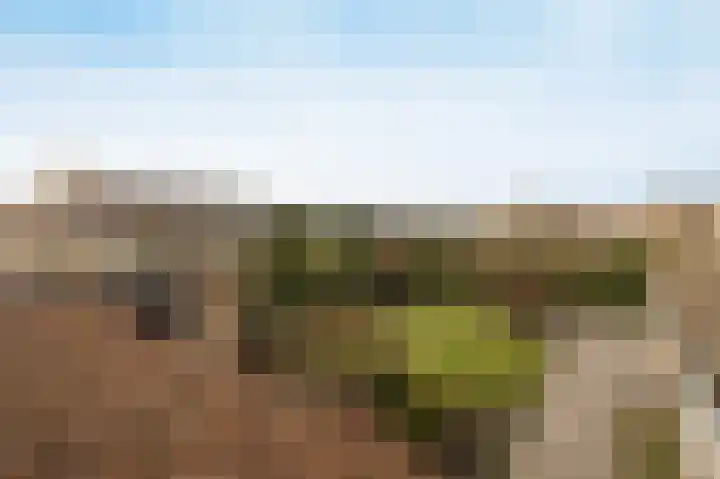 Scheldelaan 12 Hoeven thumbnail 40