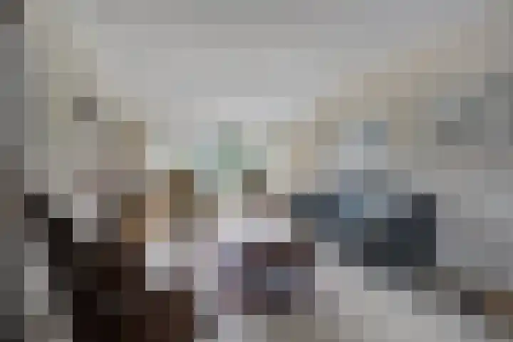 Scheldelaan 12 Hoeven thumbnail 9