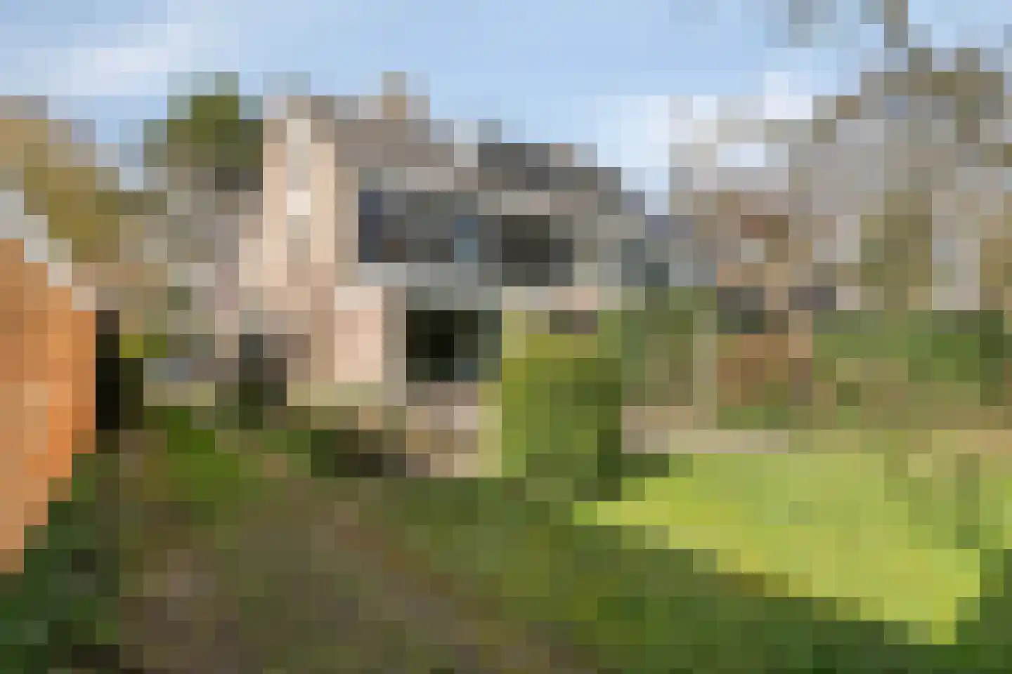Scheldelaan 14 Son en Breugel thumbnail 47