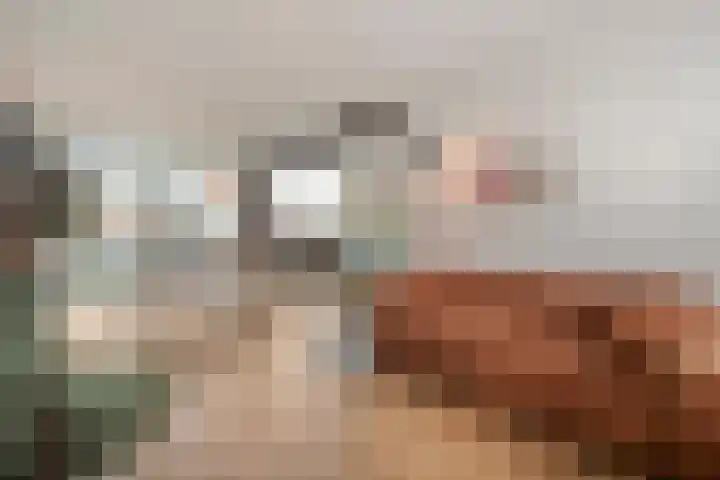 Scheldelaan 17 Zwolle thumbnail 12