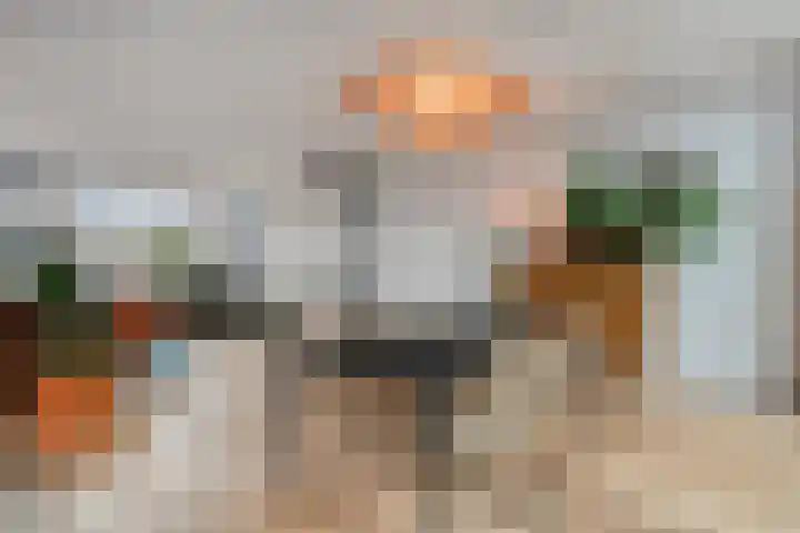 Scheldelaan 17 Zwolle thumbnail 13
