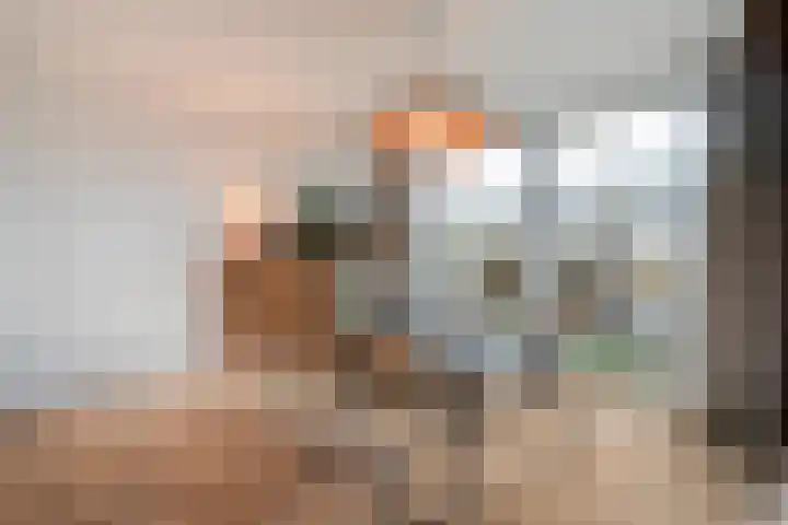 Scheldelaan 17 Zwolle thumbnail 18