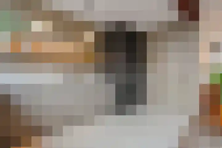 Scheldelaan 17 Zwolle thumbnail 21