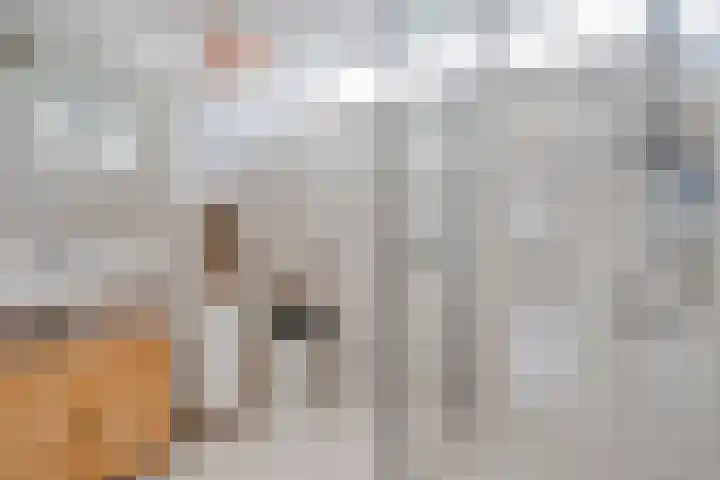 Scheldelaan 17 Zwolle thumbnail 32