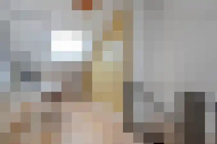 Scheldelaan 17 Zwolle thumbnail 34