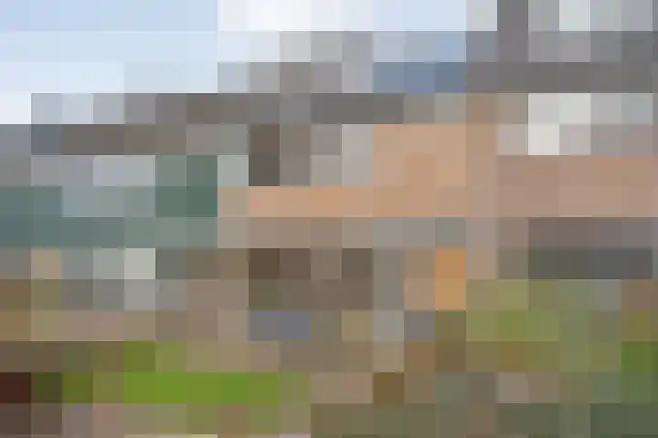 Scheldelaan 17 Zwolle thumbnail 4