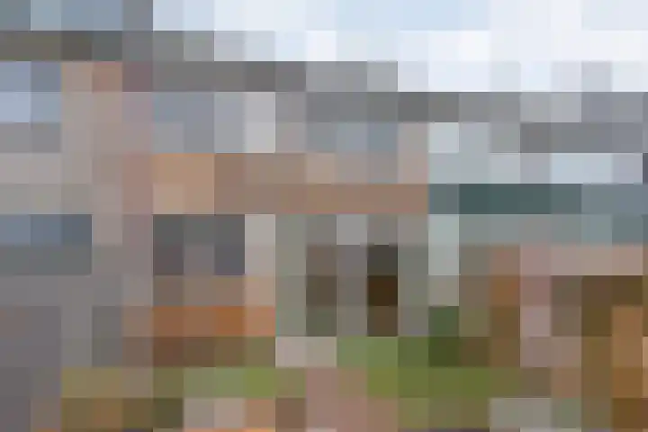 Scheldelaan 17 Zwolle thumbnail 40