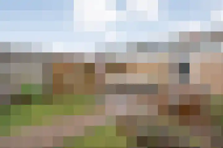 Scheldelaan 17 Zwolle thumbnail 41