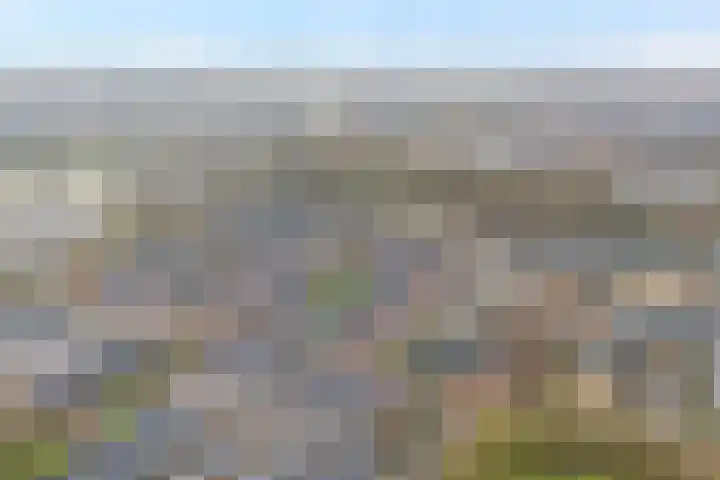 Scheldelaan 17 Zwolle thumbnail 47
