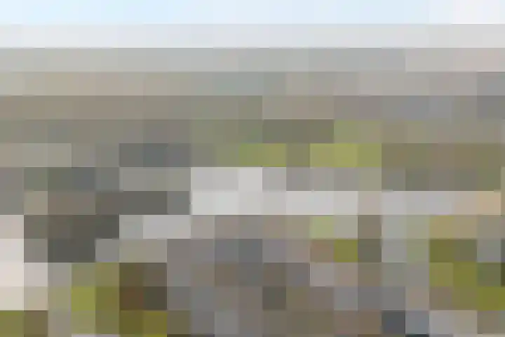 Scheldelaan 17 Zwolle thumbnail 48