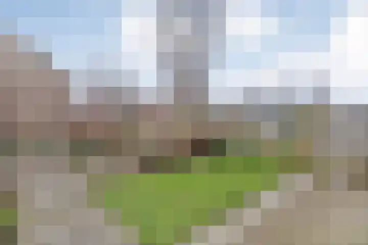 Scheldelaan 17 Zwolle thumbnail 6