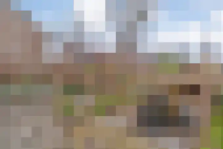 Scheldelaan 17 Zwolle thumbnail 7