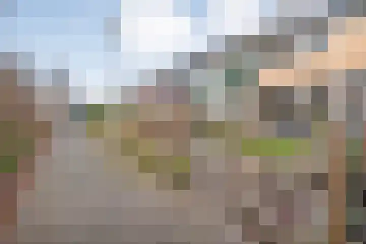 Scheldelaan 17 Zwolle thumbnail 8