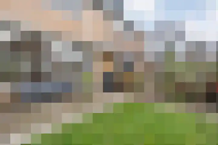 Scheldelaan 17 Zwolle thumbnail 9