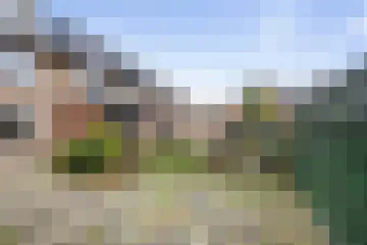 Scheldelaan 19 Heemstede thumbnail 16