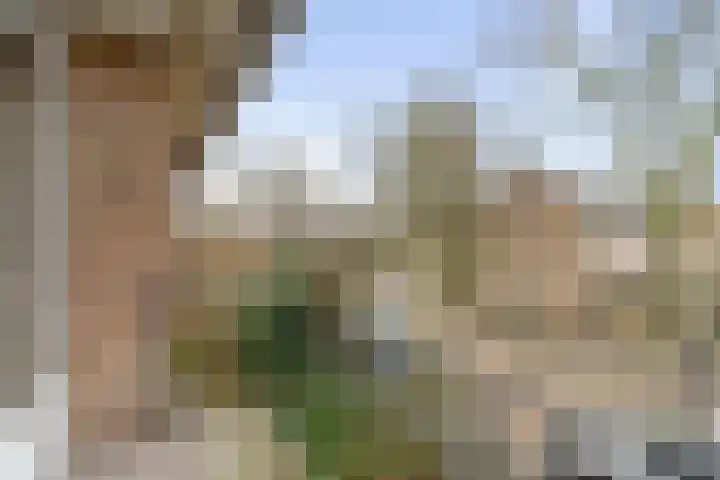Scheldelaan 19 Heemstede thumbnail 33