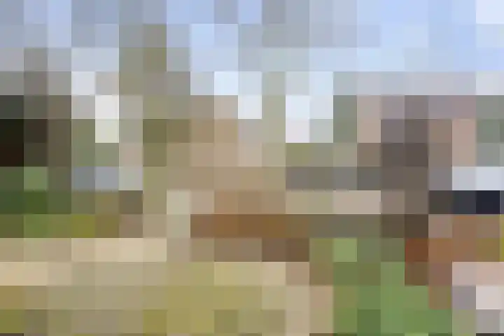 Scheldelaan 19 Heemstede thumbnail 43