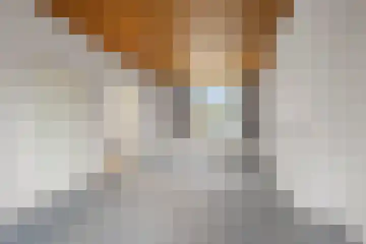 Scheldelaan 19 Heemstede thumbnail 6