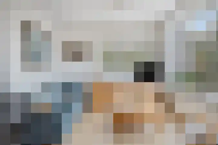Scheldelaan 2 Son en Breugel thumbnail 15