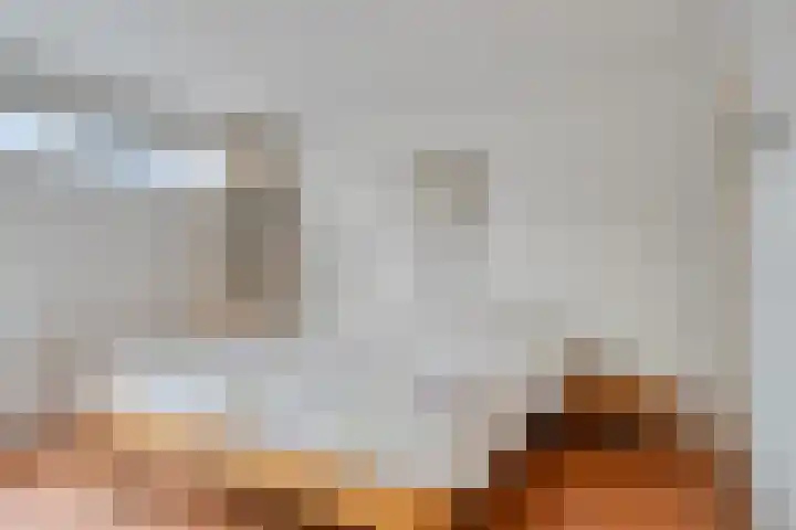 Scheldelaan 2 Son en Breugel thumbnail 30