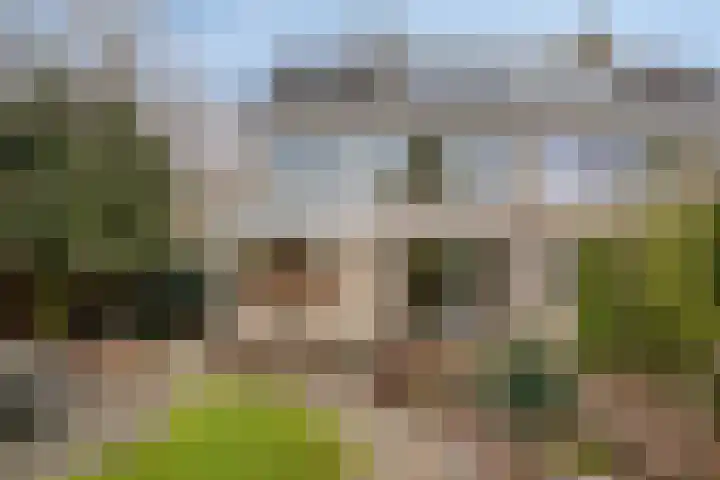 Scheldelaan 2 Son en Breugel thumbnail 42