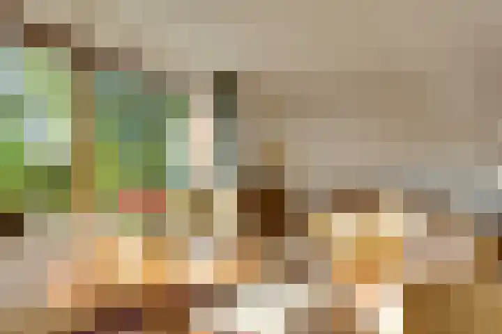 Scheldelaan 22 Son en Breugel thumbnail 13