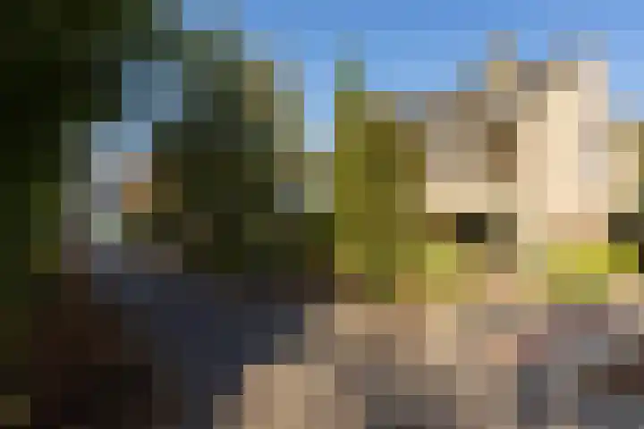Scheldelaan 22 Son en Breugel thumbnail 44