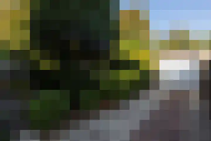 Scheldelaan 22 Son en Breugel thumbnail 45