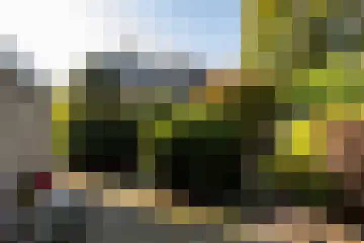 Scheldelaan 22 Son en Breugel thumbnail 53