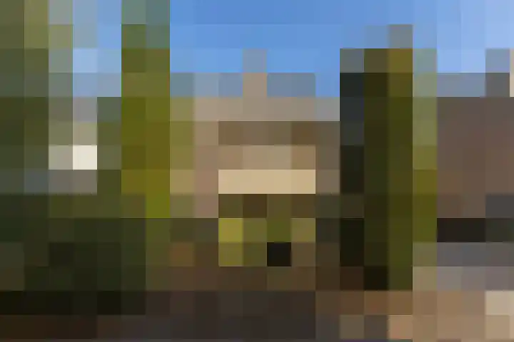 Scheldelaan 22 Son en Breugel thumbnail 55
