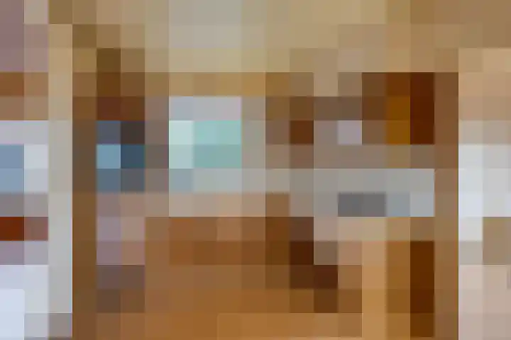 Scheldelaan 24 Hoeven thumbnail 13
