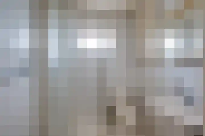 Scheldelaan 24 Hoeven thumbnail 16