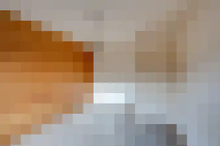 Scheldelaan 24 Hoeven thumbnail 17