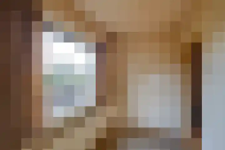 Scheldelaan 24 Hoeven thumbnail 19