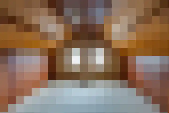 Scheldelaan 24 Hoeven thumbnail 21