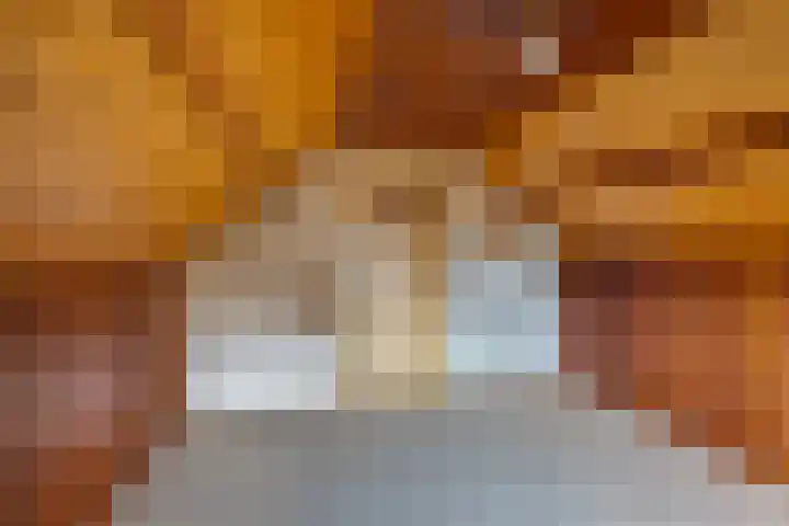 Scheldelaan 24 Hoeven thumbnail 22