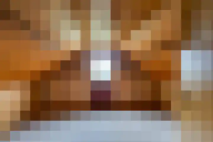 Scheldelaan 24 Hoeven thumbnail 23
