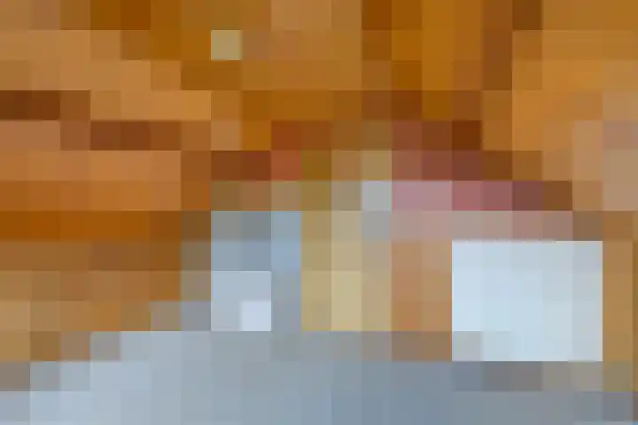 Scheldelaan 24 Hoeven thumbnail 24