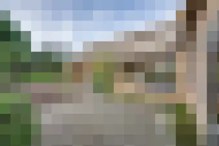 Scheldelaan 24 Hoeven thumbnail 25