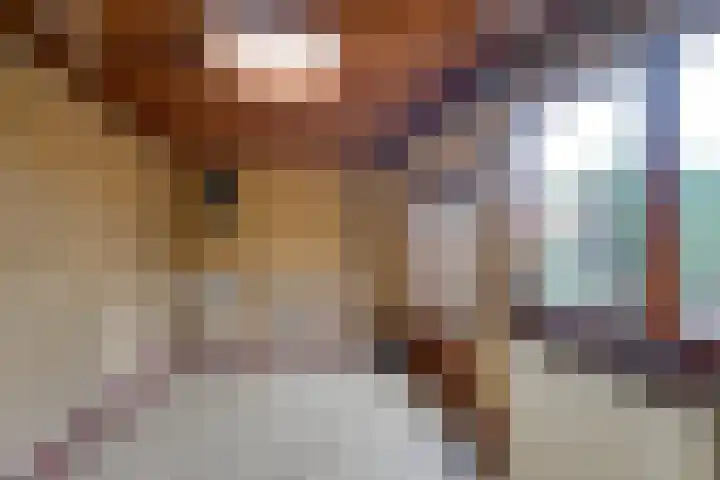 Scheldelaan 24 Hoeven thumbnail 28