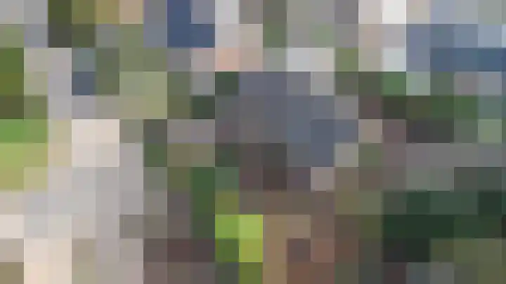 Scheldelaan 24 Hoeven thumbnail 29