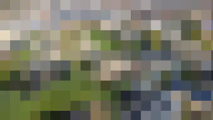Scheldelaan 24 Hoeven thumbnail 30